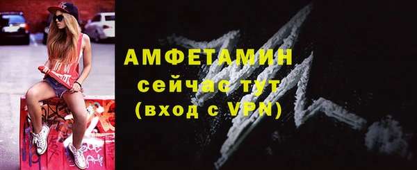 гашик Краснослободск