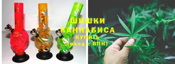 прущая мука Корсаков