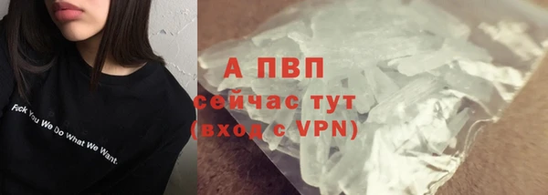 гашик Козельск