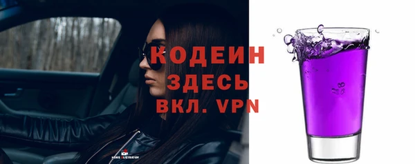 прущая мука Корсаков