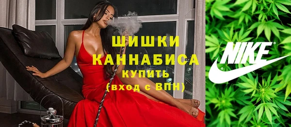 индика Краснотурьинск