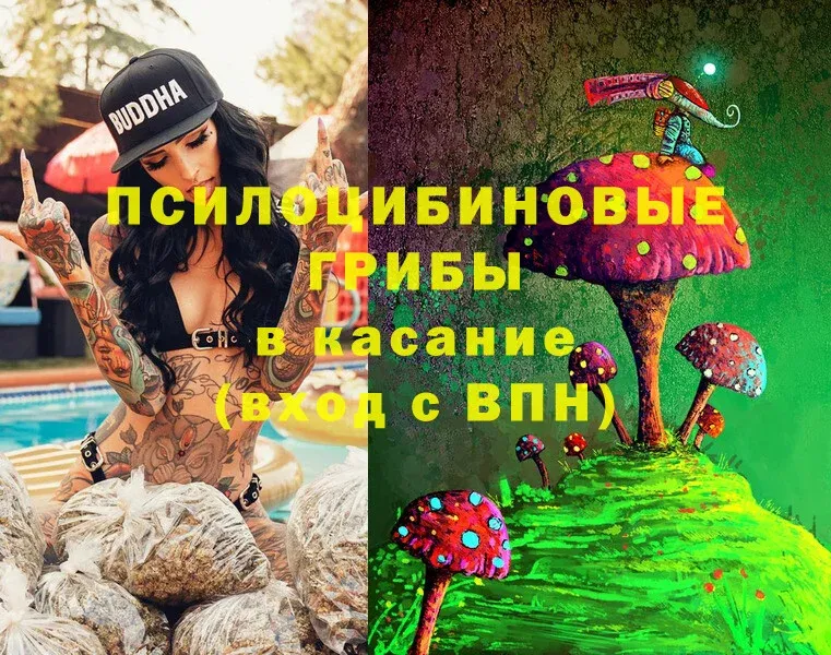 Галлюциногенные грибы Cubensis  Козловка 